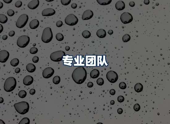 专业团队