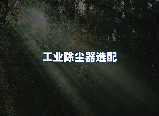 专业团队办公环境